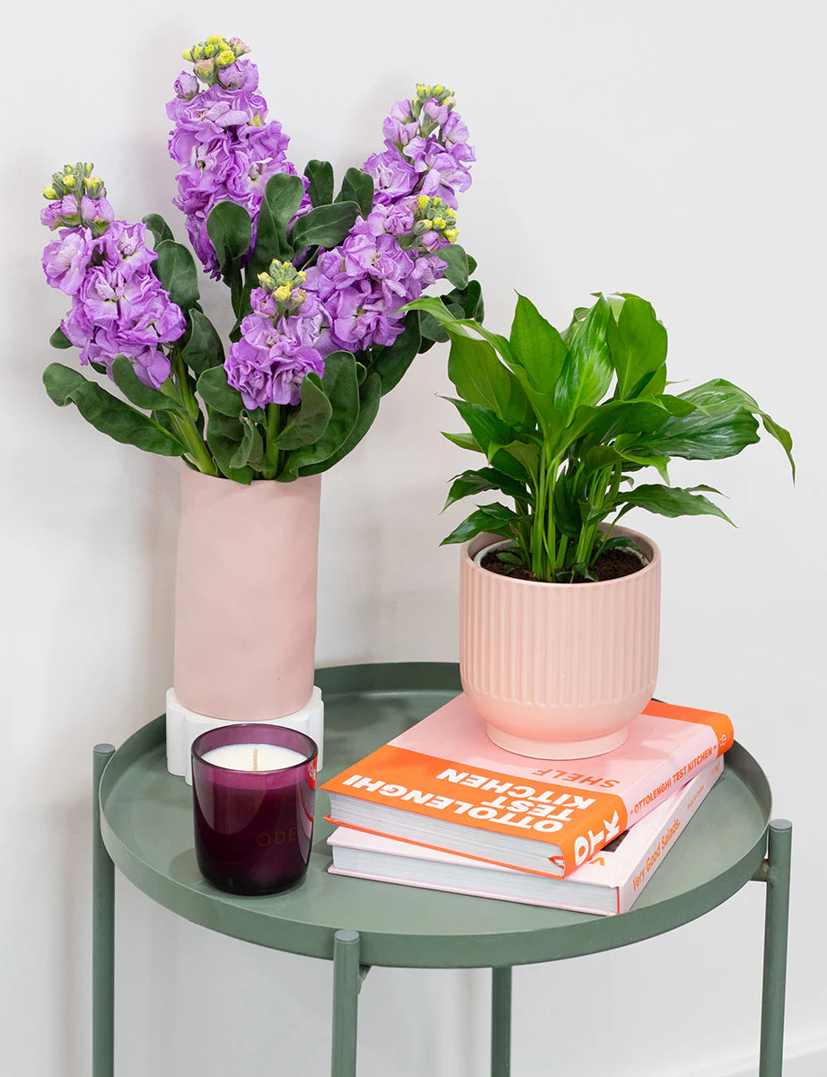 Green Thumb Bundle - Image 8