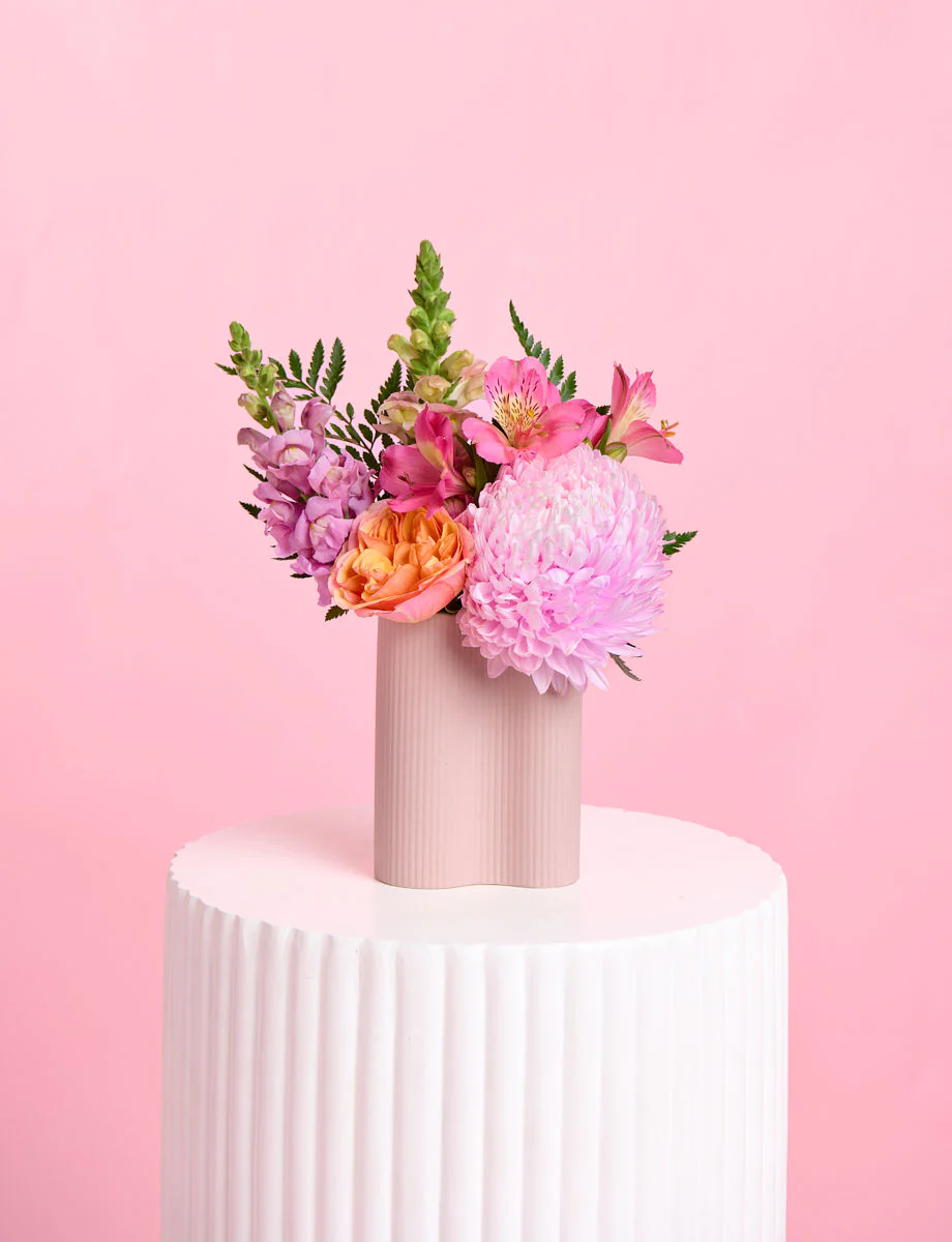 Candy - Image 3